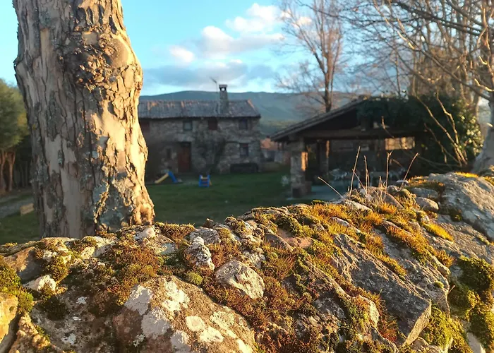 La Cerca De La Mata, Decerca Arcones